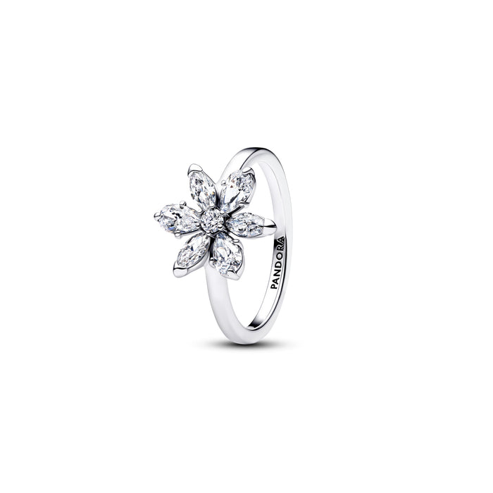 Pandora Ring Pandora, Silver 925
