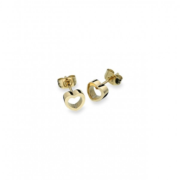 Anjewels Outlet Pair Of Earrings Anjewels Outlet, Steel