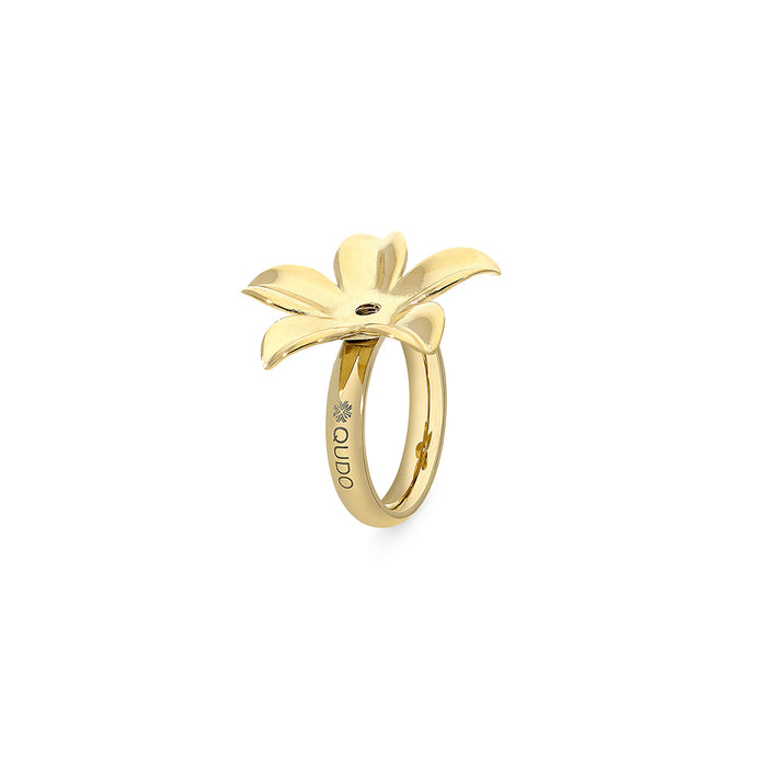 Qudo Ring Qudo, Steel