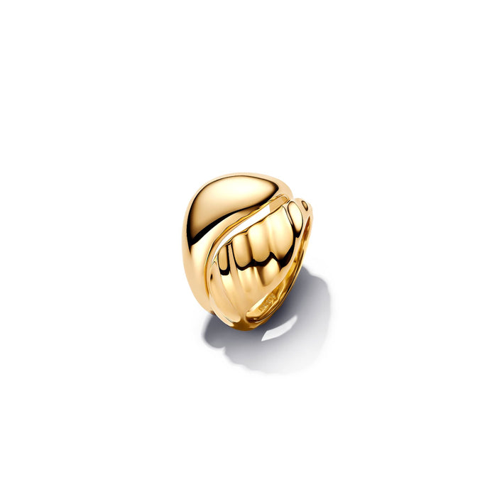 Pandora Ring, Common Metal