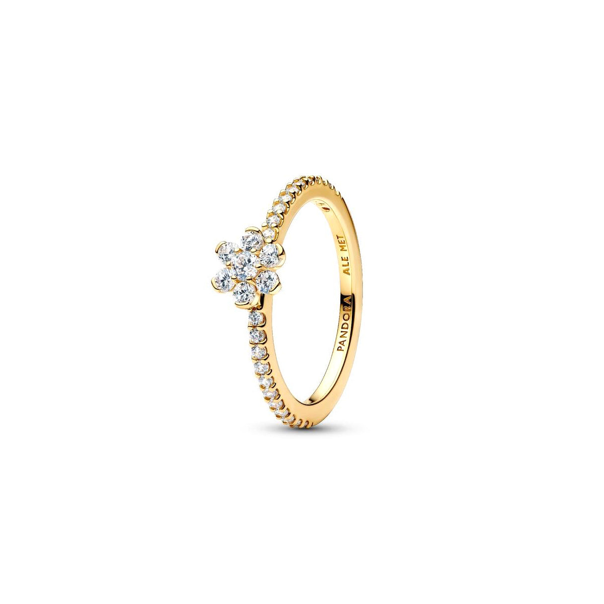 Pandora Ring, Common Metal