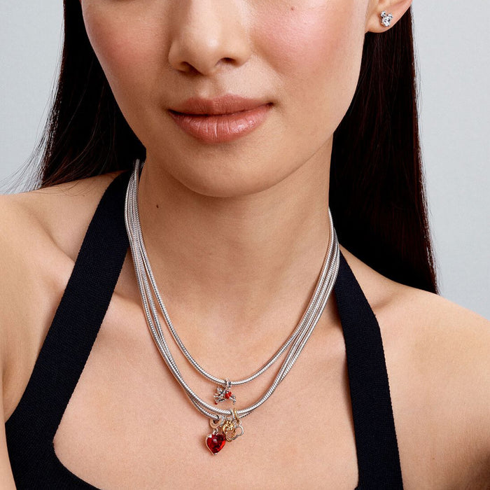 Pandora Necklace Pandora, Silver 925