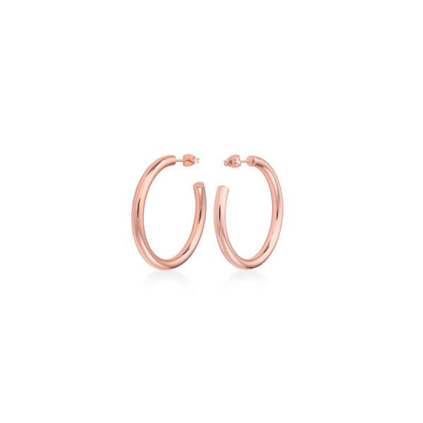 Rosefield Pair Of Earrings Rosefield, Steel