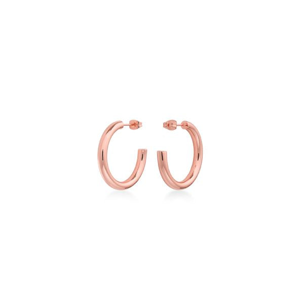 Rosefield Pair Of Earrings Rosefield, Steel