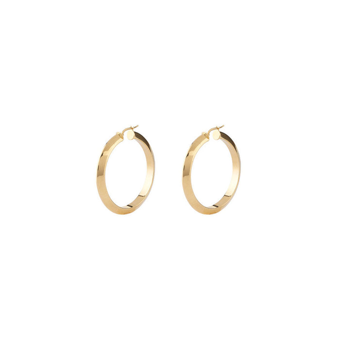 Guess Pair Of Earrings Guess, Steel