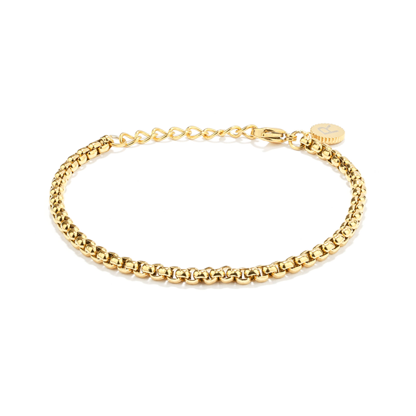 Radiant Bracelet, Steel